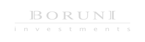 Logo boruni investments